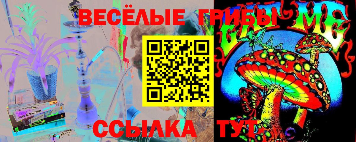 Галлюциногенные грибы Cubensis Соликамск